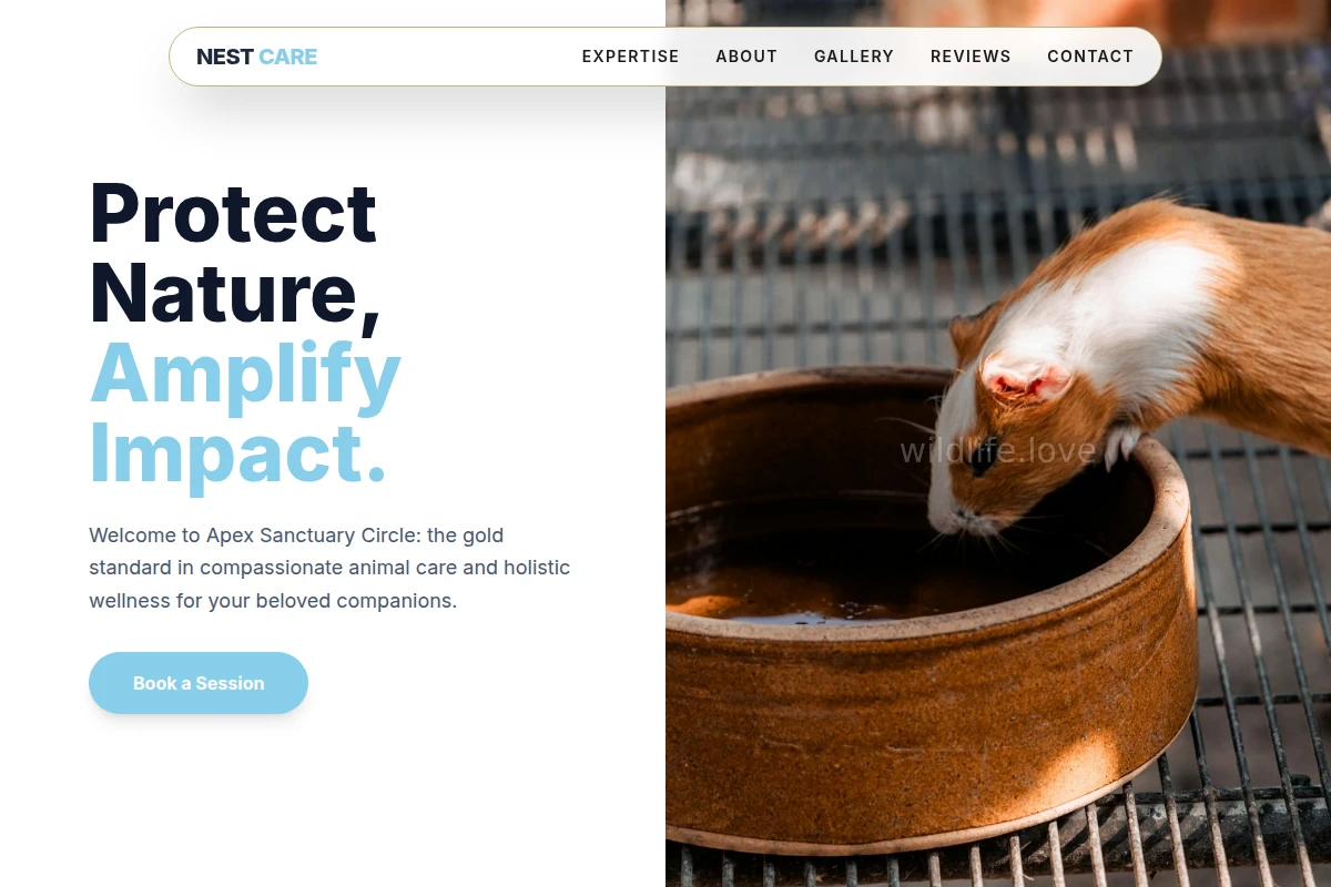 Nest Animal Care