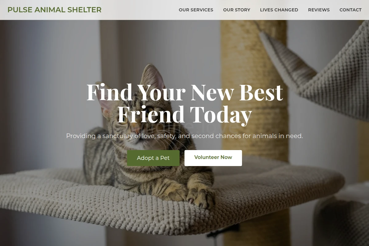 Pulse Animal Shelter