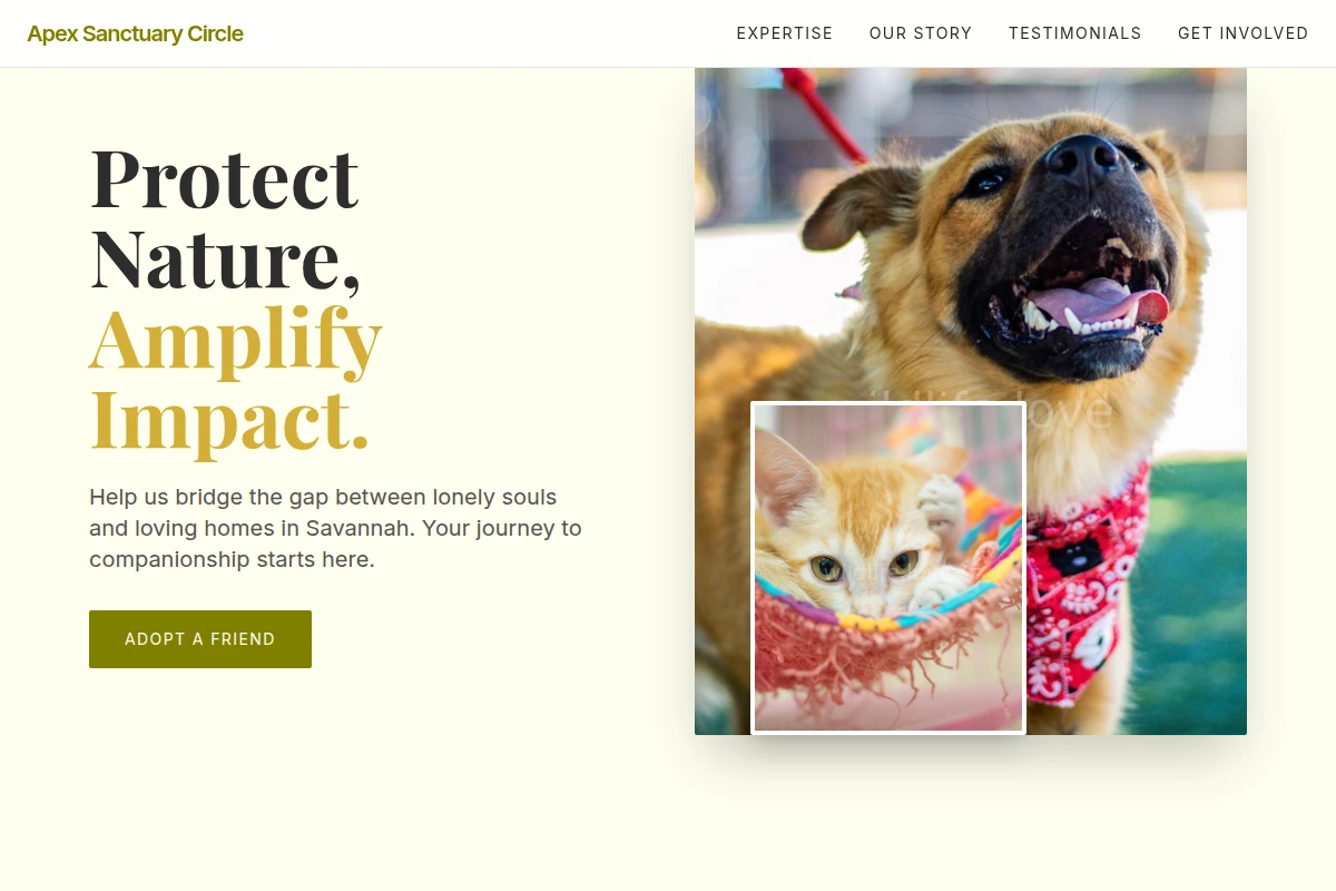 animal-shelter