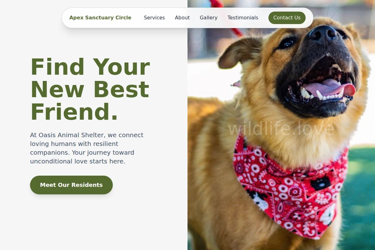 Oasis Animal Shelter