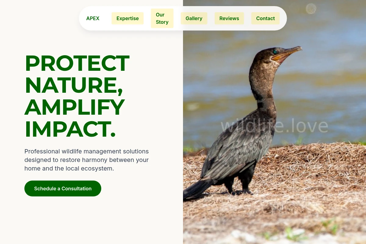 Spring Wildlife Management
