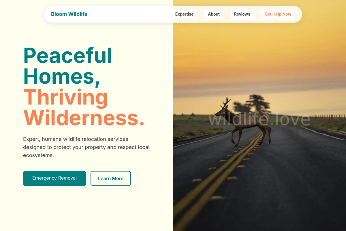 Bloom Wildlife Relocation